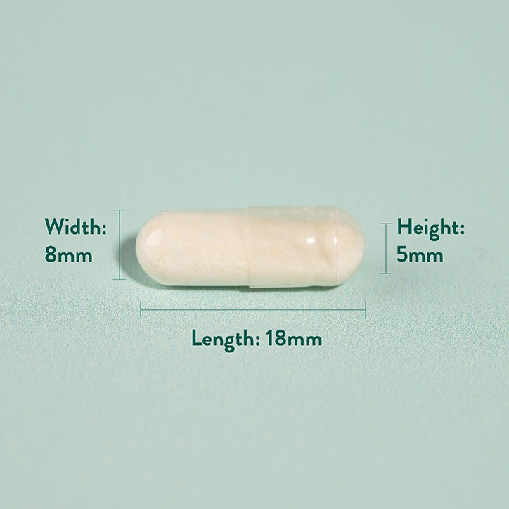 Holland & Barrett Live Friendly Bacteria with Acidophilus 3 Billion 120 Capsules